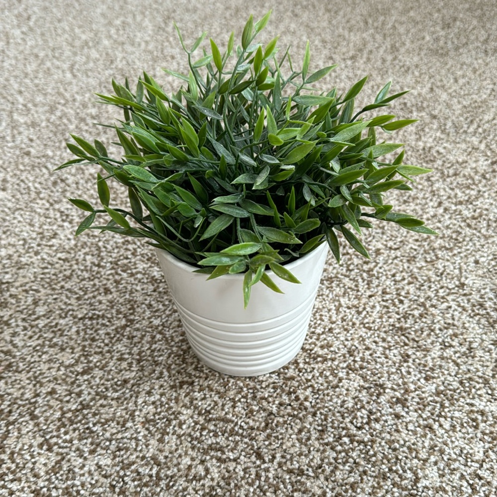 Cute fake house plant 🪴